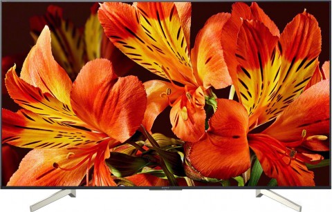 Телевизор Sony KD-55XF8596