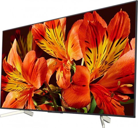 Телевизор Sony KD-55XF8596