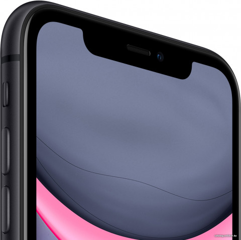 Смартфон Apple iPhone 11 256GB (черный)