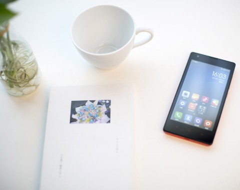 Смартфон Xiaomi Hongmi (Red Rice)