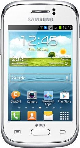 Смартфон Samsung Galaxy Young Duos (S6312)