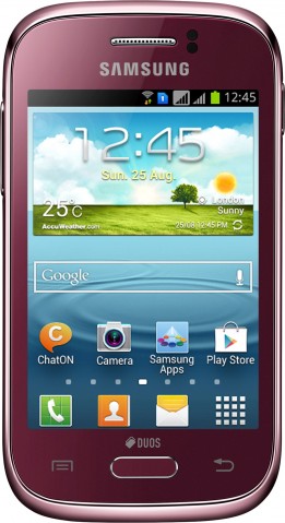 Смартфон Samsung Galaxy Young Duos (S6312)